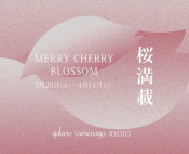 桜満載 -Merry Cherry Blossom-